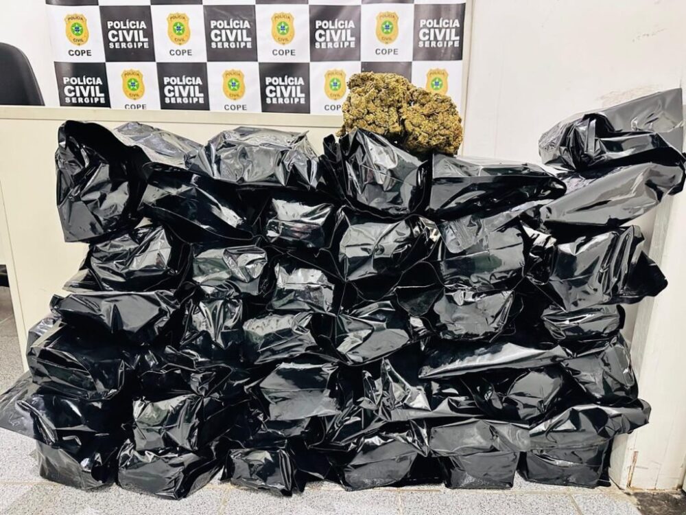 Polícia apreende R$ 500 mil em flor de maconha durante operação em Nossa Senhora do Socorro