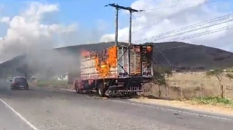 Três animais morrem após incêndio destruir caminhão boiadeiro em rodovia de Sergipe