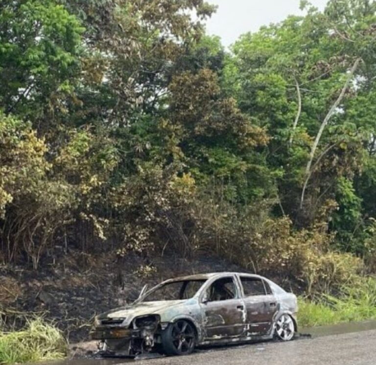 Carro pega fogo às margens da SE-270, em Salgado