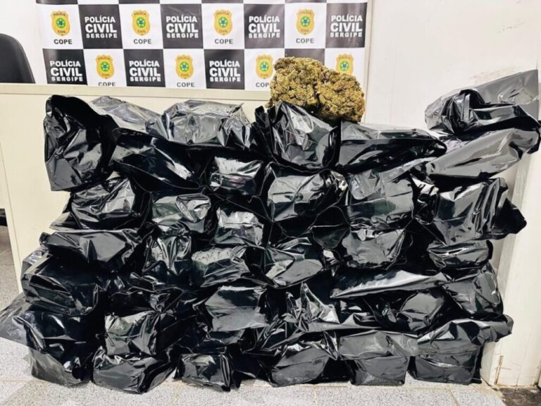 Polícia apreende R$ 500 mil em flor de maconha durante operação em Nossa Senhora do Socorro