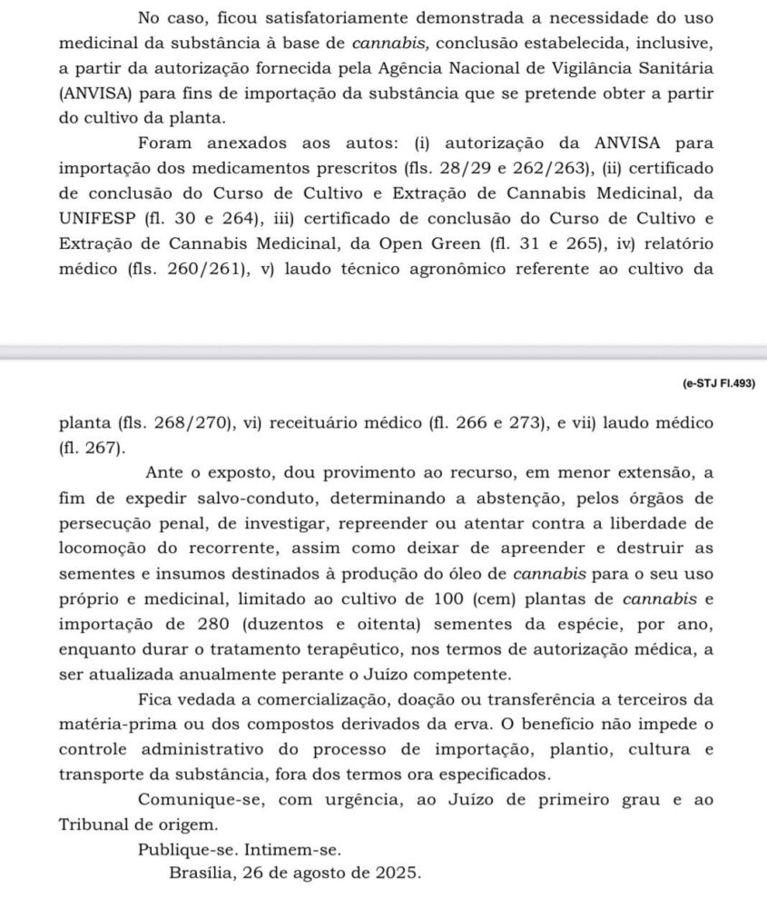 STJ autoriza cultivo de cannabis para fins medicinais em Sergipe: decisão é uma das primeiras do estado