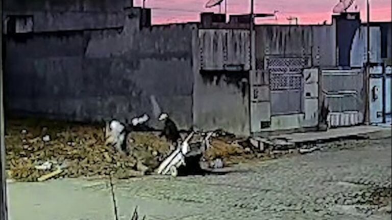 Homem é preso por matar e carbonizar cachorro em Itabaiana