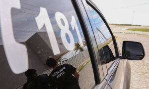 Homem é indiciado por maus-tratos após envenenar cães em Lagarto