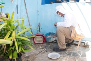 Levantamento identifica seis municípios em Sergipe com alto índice de infestação do Aedes aegypti