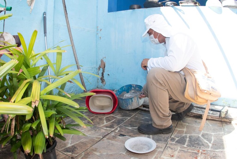 Levantamento identifica seis municípios em Sergipe com alto índice de infestação do Aedes aegypti