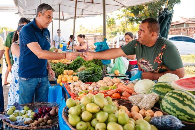 Gestão Sérgio Reis lança licitação de R$ 19 milhões para contratação de barracas padronizadas das feiras livres