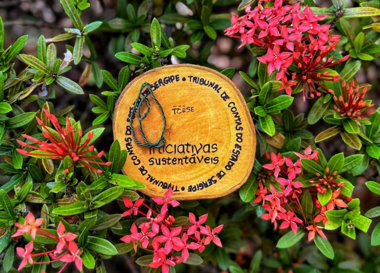 Deso tem cinco projetos reconhecidos com o Selo Iniciativas Sustentáveis do Tribunal de Contas de Sergipe