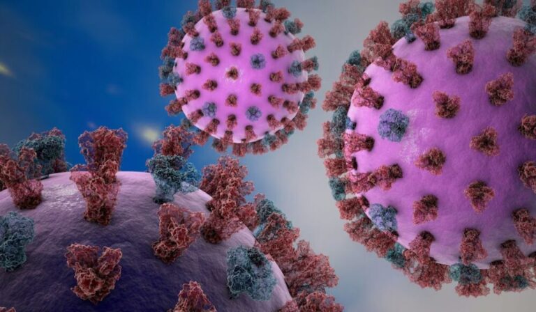 Saúde de Sergipe monitora gripe K após casos confirmados no Brasil