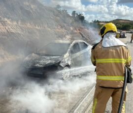 Incêndio em veículo na BR-101 atinge vegetação em São Cristóvão