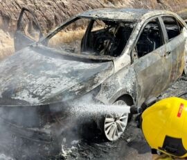 Incêndio em veículo na BR-101 atinge vegetação em São Cristóvão