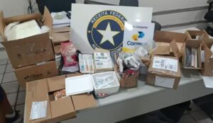 Receita Federal apreende em SE ampolas de tirzepatida oriundas do Paraguai