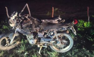 Homem morre e outro fica ferido após colisão com cavalo na SE-204