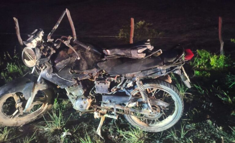 Homem morre e outro fica ferido após colisão com cavalo na SE-204