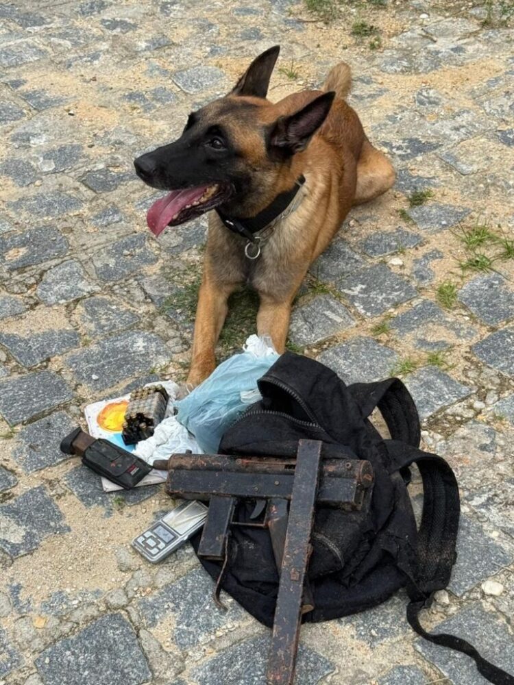 Polícia Civil apreende drogas, arma de fogo e munições em Estância