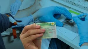 Exame toxicológico passa a ser obrigatório para primeira habilitação A e B em Sergipe