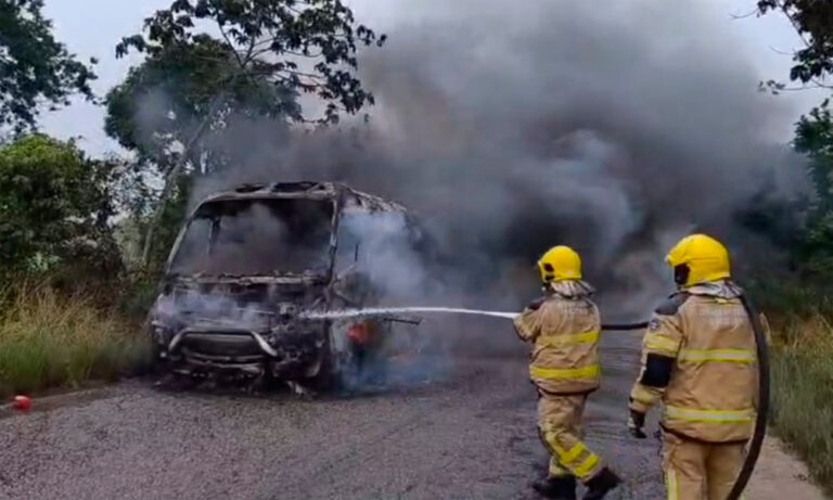 Incêndio destrói micro-ônibus escolar na BR-349 entre Japoatã e Neópolis
