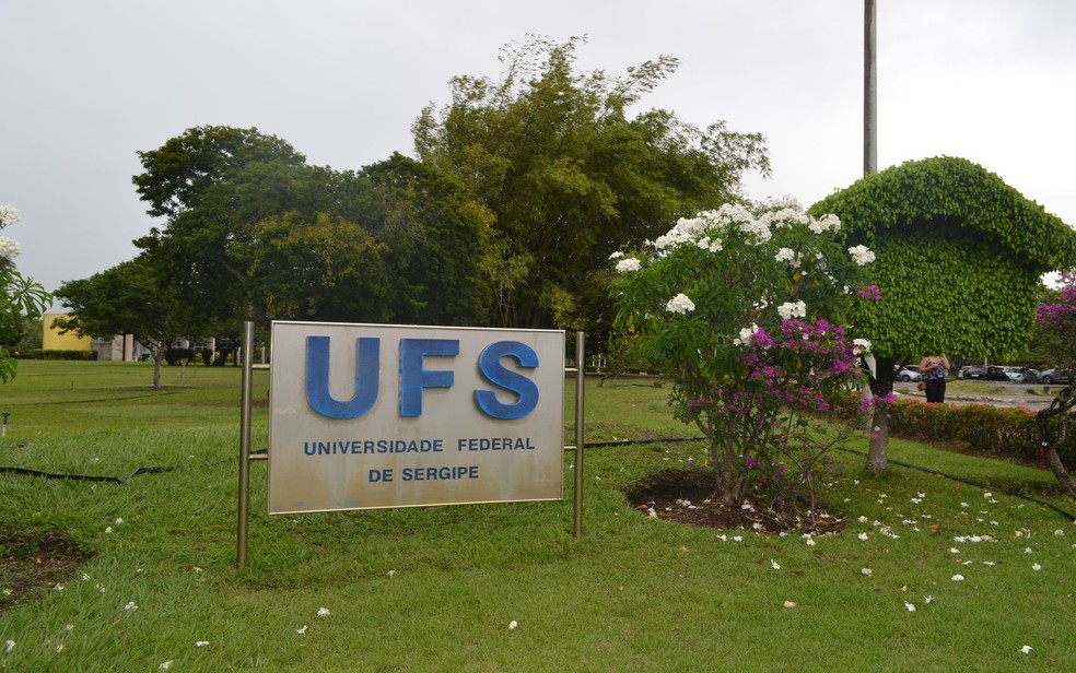 UFS atua com MPF e Polícia Civil para apurar morte de pelo menos 14 gatos no campus de São Cristóvão