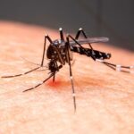 Sergipe tem 47 municípios com risco médio de infestação do Aedes aegypti