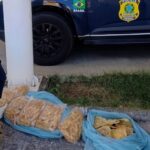 Homem é preso ao transportar carga irregular de pescados n]a BR-101 em Estância