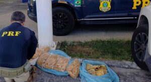 Homem é preso ao transportar carga irregular de pescados n]a BR-101 em Estância