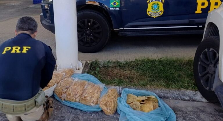 Homem é preso ao transportar carga irregular de pescados n]a BR-101 em Estância